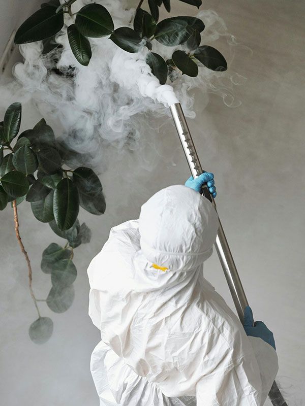 soluzioni per la disinfestazione di ambienti