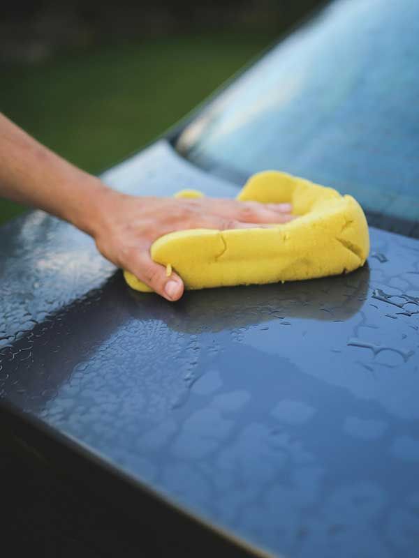 Prodotti per la pulizia e la protezione dell'auto